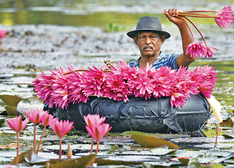 Photo News - Photo News
