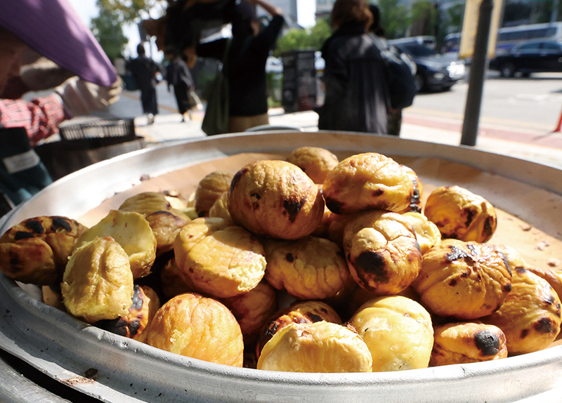 Photo News - Photo News Photo News - Photo News