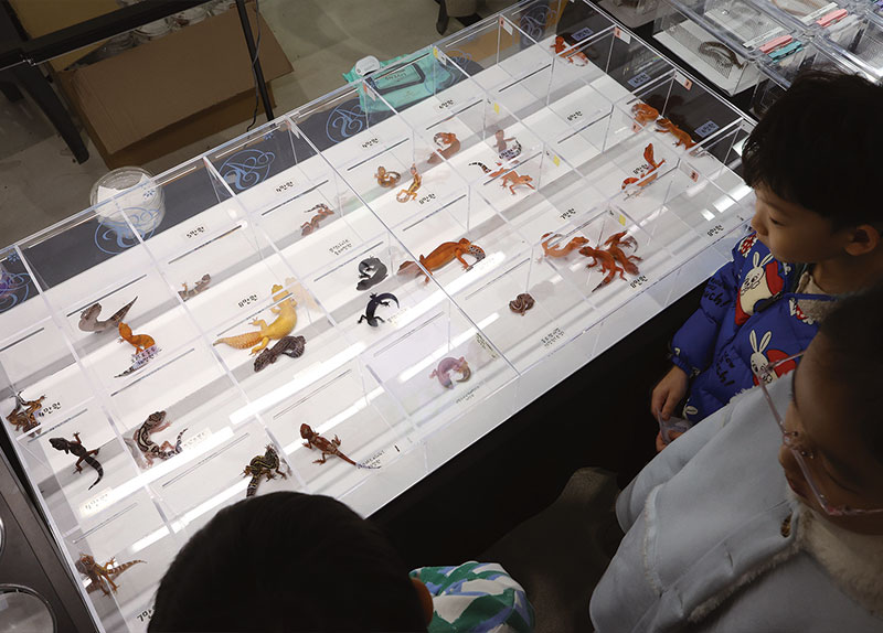 Photo News - Photo News