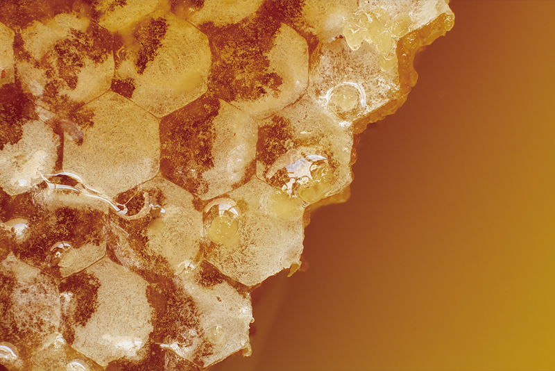 Is Your Honey Really Honey?