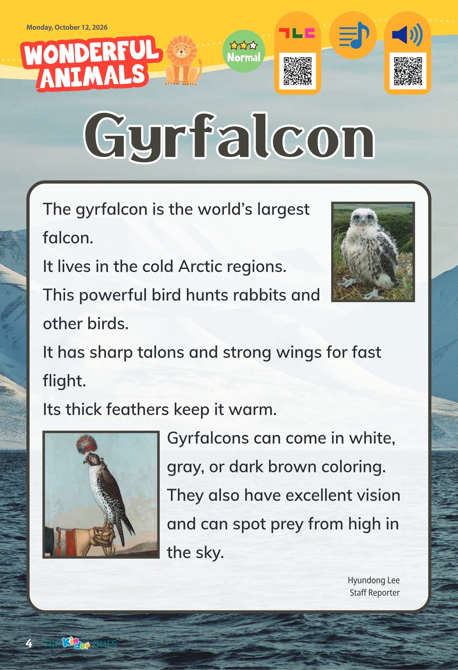 Gyrfalcon