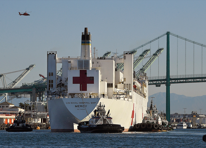 Greenland Says ��No Thanks�� to Trump��s Hospital Boat0