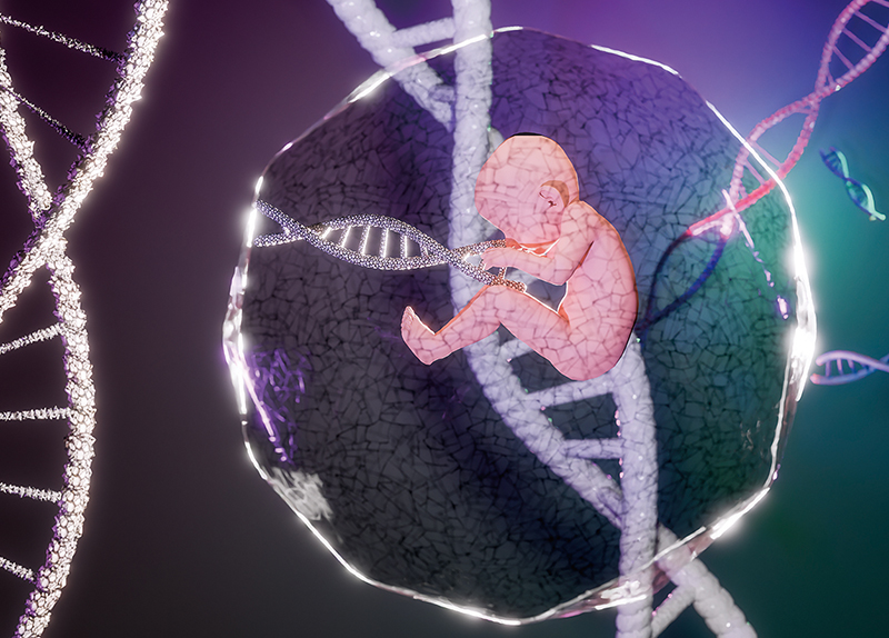 Should We Allow the Birth of Gene-Edited Babies?0
