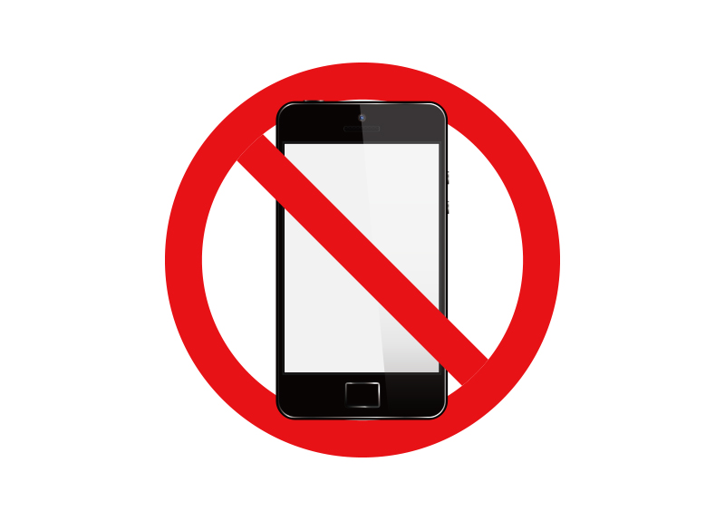 Silent Safaris: Why Phones Are Being Banned in India��s National Parks5