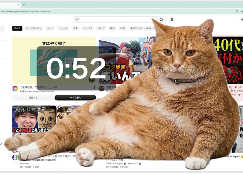 A Fat Cat To Save You From Doomscrolling0