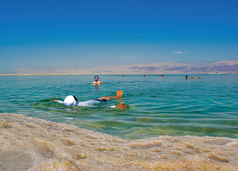 Saving the Dead Sea6